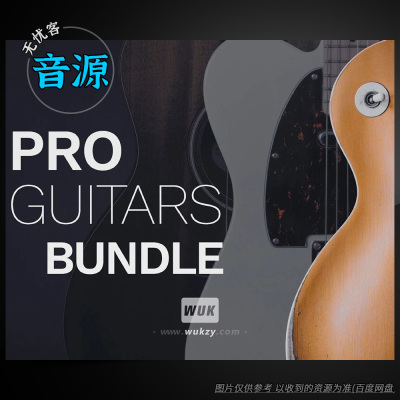 Steinberg Pro Guitar Bundle（30个吉他音源套装）