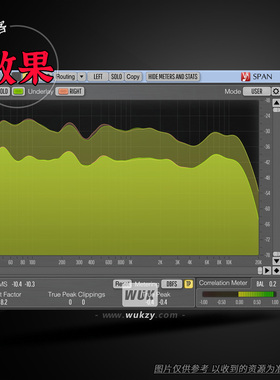 效果 Voxengo SPAN +SPAN Plus（分析工具实时音频频谱分析仪）