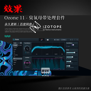 臭氧11智能一键母带插件丨iZotope Ozone 11 Advanced v11.2.0