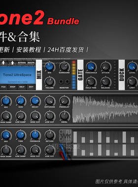 Tone2丨厂牌效果器插件合集丨UltraSpace Bundle Collection
