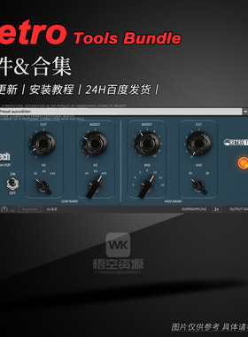 Retro Tools DSP Blues Tech丨厂牌效果器插件合集Plugins Bundle