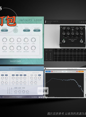4款打包插件合集丨Ghost Note Thief\Algorithmic\Infinity Loop