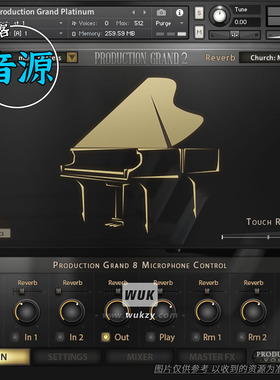 现代钢琴大制作白金版2丨Production Voices Production Grand 2