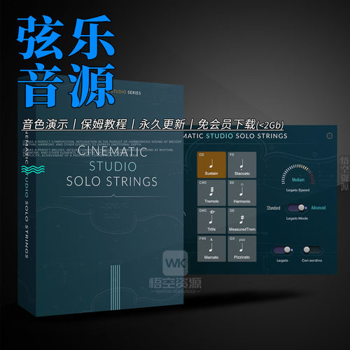 CSSS电影工作室弦乐独奏音源