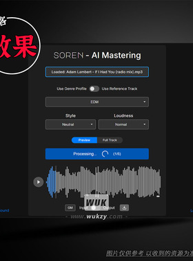AI一键母带-本地运行-十亿次运算-选流派即可丨Rast Sound Soren