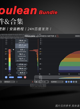 Youlean丨厂牌效果器插件合集丨Loudness Meter 2 Bundle