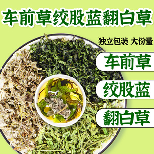 绞股蓝茶叶翻白草车前草茶包中药材泡水煮水喝糖原料正品官方旗舰