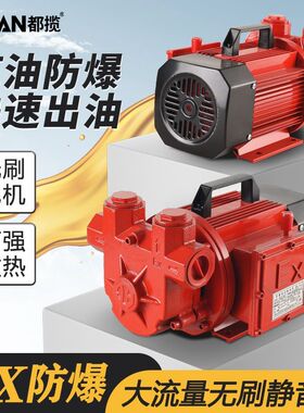 防爆抽油泵220v12v24v柴油加油机大流量车载导油泵加油泵德国品质