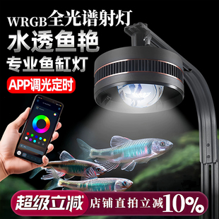 全光谱鱼缸灯专业照明筒灯原生溪流缸灯增艳观赏灯LED灯芯金鱼灯
