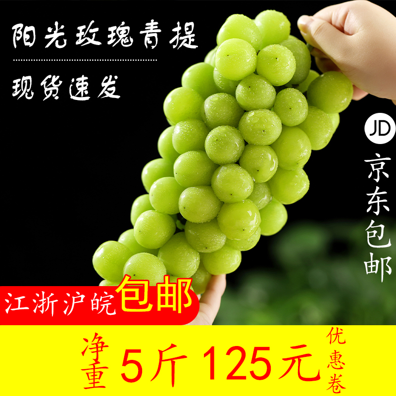 领取优惠卷马陆葡萄 单品晴王阳光玫瑰无籽新鲜五斤装 上海包邮