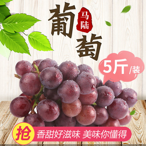 马陆葡萄新鲜巨峰水果上海嘉定
