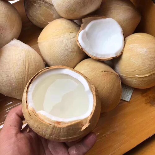泰国香水奶椰皇椰子