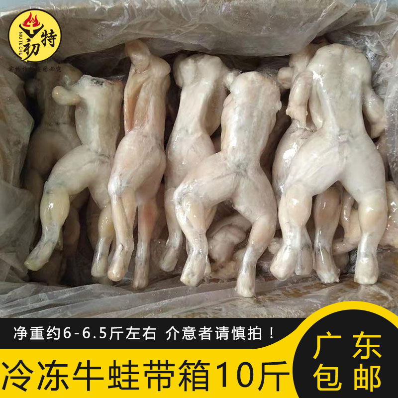 鲜活现杀冷冻牛蛙 牛蛙肉新鲜冷冻牛蛙腿 广东省包邮