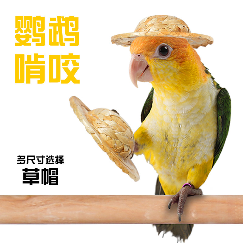 鹦鹉藤球啃咬玩具觅食训练陪伴磨牙互动益智力玩乐玄风虎皮鸟大全