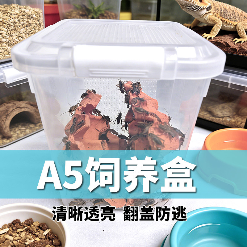 A5饲养盒蛐蛐面包虫杜比亚翻盖透气透明漏粪防逃防臭昆虫盒图片