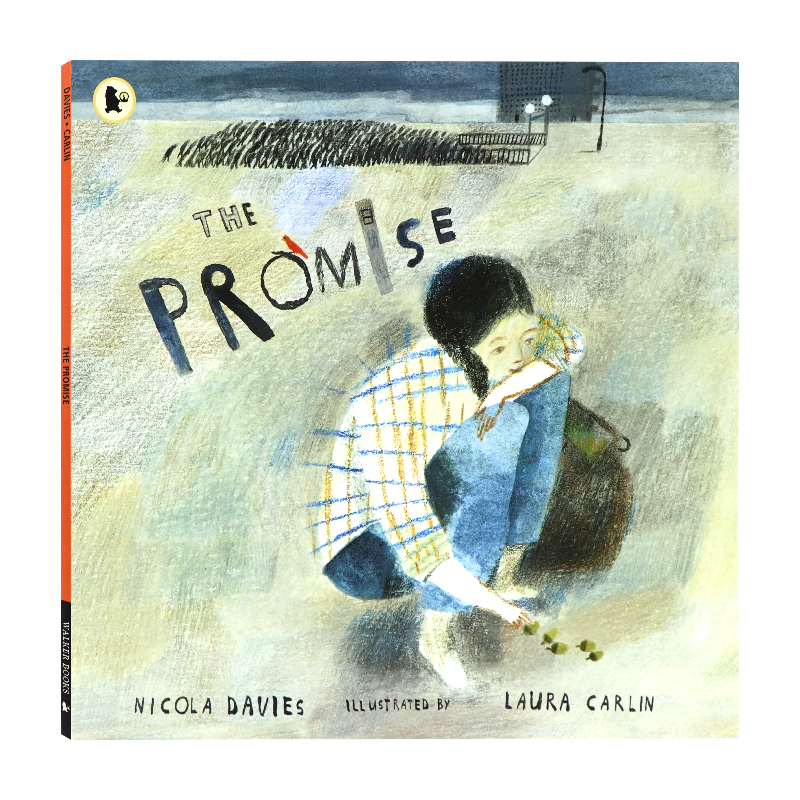 承诺 英文原版绘本 The Promise 尼古拉戴维斯 Nicola Davies 睡前故事图画书 英语启蒙精美插画故事书 平装大开 经典儿童读物