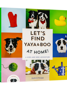 现货 寻找莫莫3 让我们在家找雅雅和布吧英文原版绘本Lets Find Yaya And Boo At Home 儿童认知识物亲子互动图画纸板书