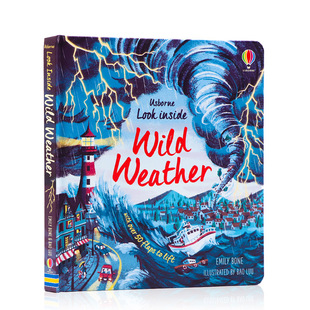 自然天气 Look inside 进口英文原版 Weather了解自然灾害知识 Usborne看里面系列 Wild 儿童环保启蒙翻翻书纸板书科普百科读物 正版