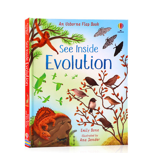 英文原版绘本See Inside Evolution Usborne看里面系列进化论揭秘 儿童STEM科普百科纸板翻翻书 英语启蒙早教认知趣味科普亲子绘本