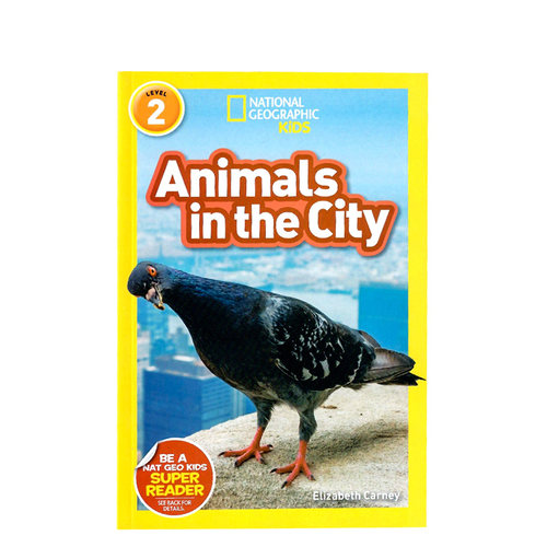 英文原版绘本 National Geographic Readers level 2 Animals in the City 美国国家地理分级阅读读物全彩版儿童科普百科书Readers