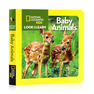 Geographic 低幼科普纸板书 美国国家地理儿童百科书 Learn 英文原版 National Baby Kids Little 动物宝宝 预售 Look Animals and