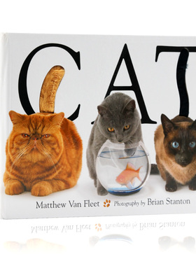 英文原版 Cat 猫 精装大开本纸板触摸操作书抽拉书 Matthew Van Fleet 儿童启蒙认知玩具书 亲子趣味互动游戏书 动物启蒙认知