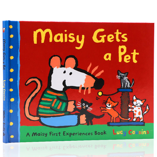 精装小鼠波波得到一只宠物