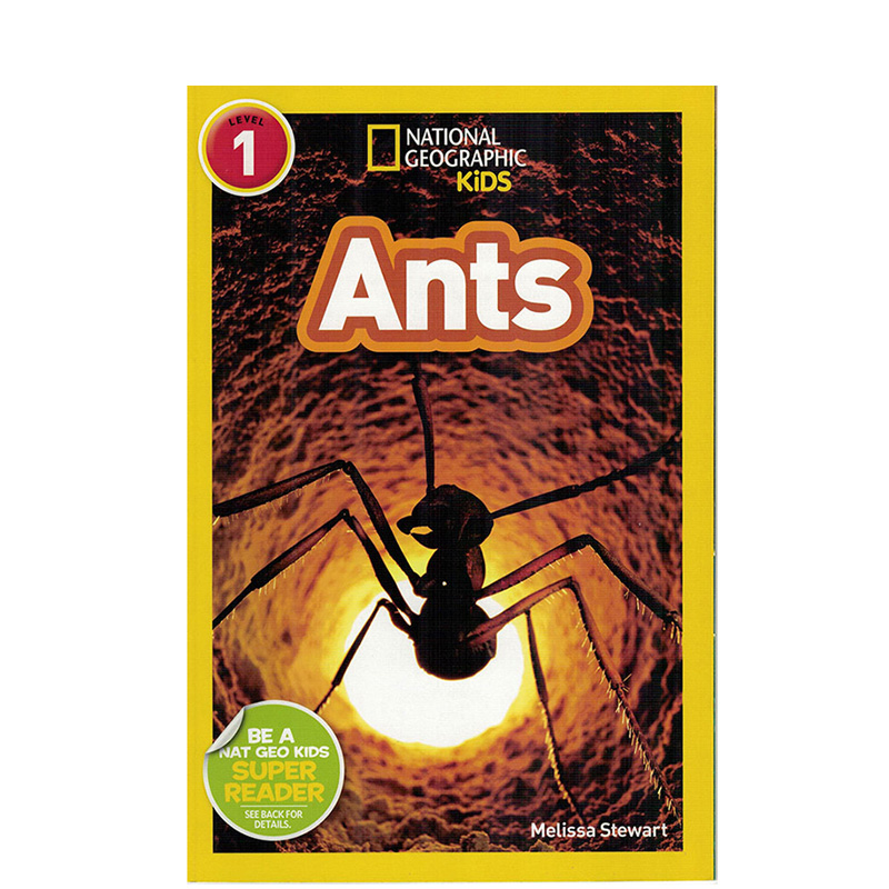 进口英文原版正版国家地理