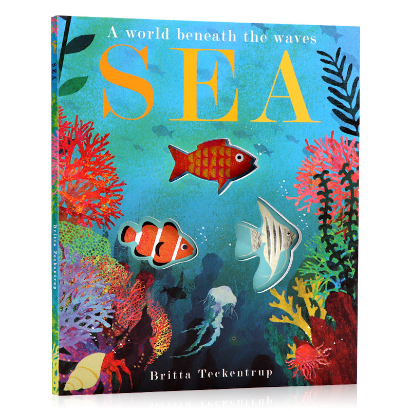 进口英文原版绘本 大自然的秘密系列 海洋sea a world beneath the