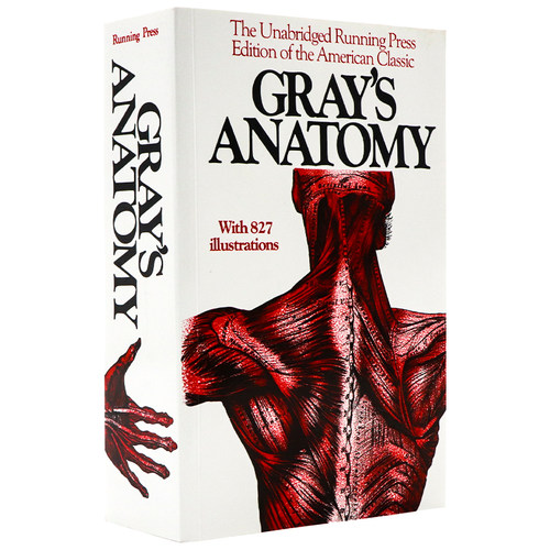 格氏解剖学 英文原版 Gray's Anatomy 临床解剖学最新理解 解剖学教科书 医学生学习解剖学重要参考资料 人体结构图解 进口书籍