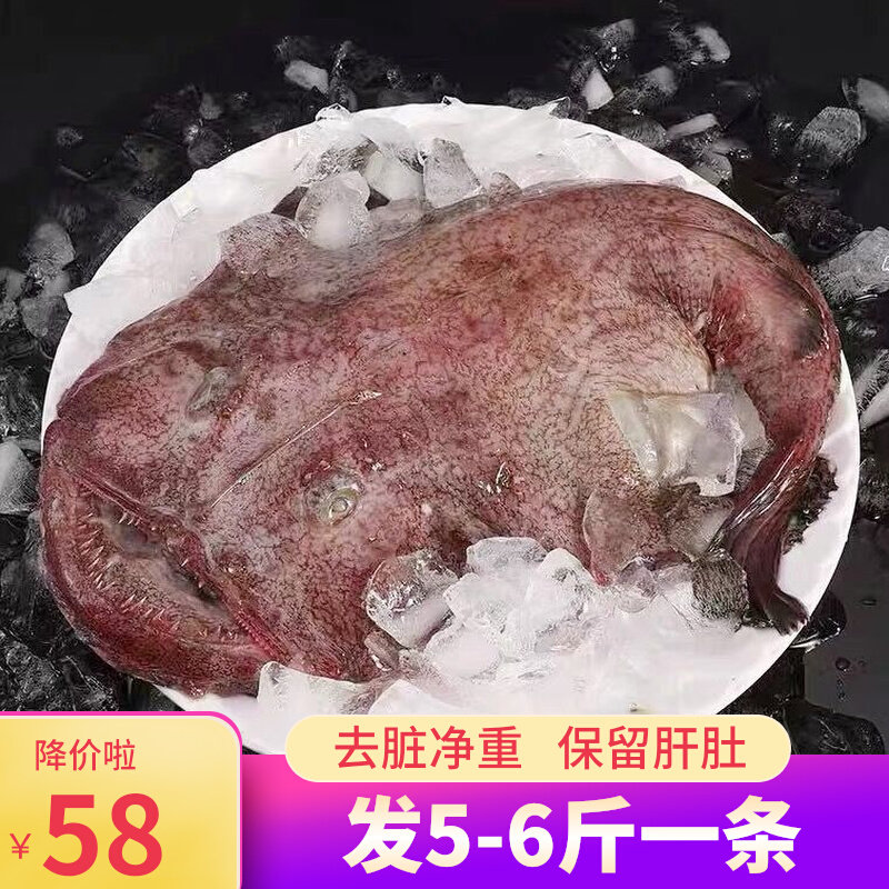 深海安康鱼鱼新鲜鲜活鱼杂鱼肝内脏鱼肚舟山蛤蟆鮟鱇鱼大海鲜海味