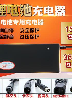 24v 36v 48v 44v 60v 瑞锂电池充电器 dzl361001 dzl481001