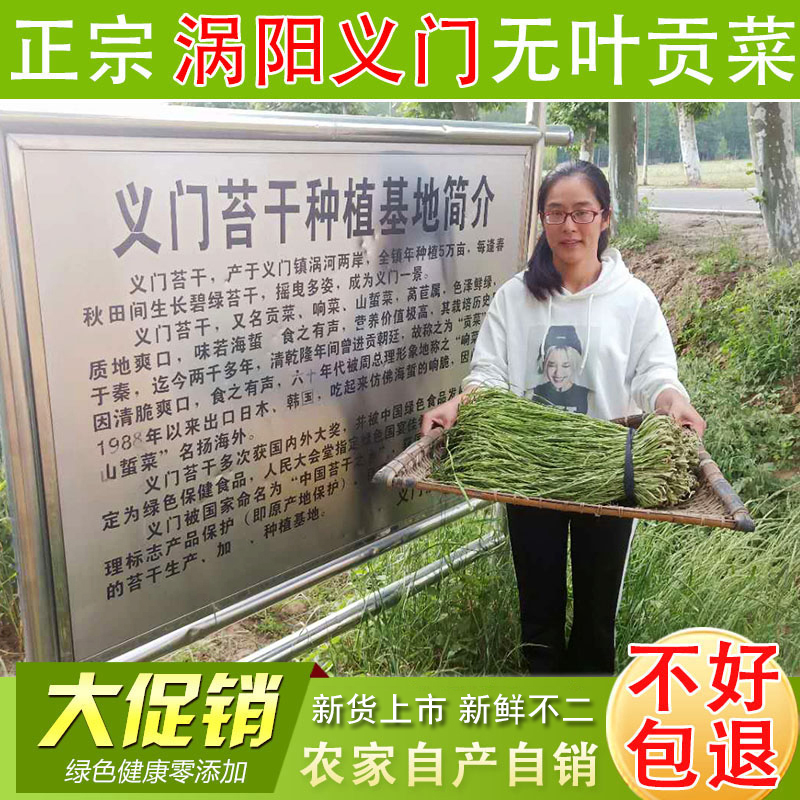 无叶贡菜干货包邮250新鲜安徽