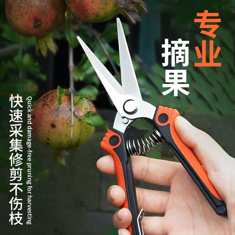强力园艺采果剪子摘果省力葡萄辣椒采摘不锈钢修枝剪家用蔬果工具