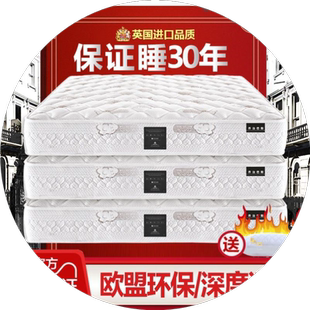 品牌GeorgeBuss乔治巴斯乳胶席梦思床垫家用棕垫1.8M独立弹簧软垫