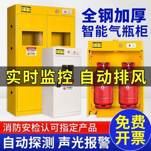 全钢报警检测安全气瓶柜智能煤气罐柜双瓶报警专用柜