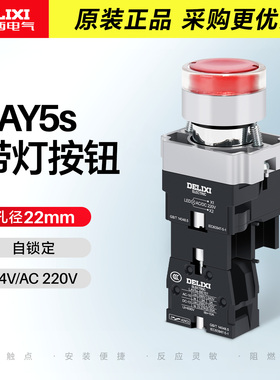 德力西带灯按钮开关自锁定LAY5sBW33B1 LED常开照明开关AC220V24V