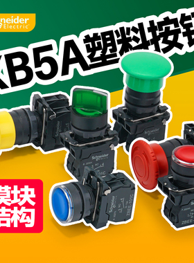 施耐德XB5塑料按钮开关平钮自复位XB5AA42C急停旋钮带灯开关红色