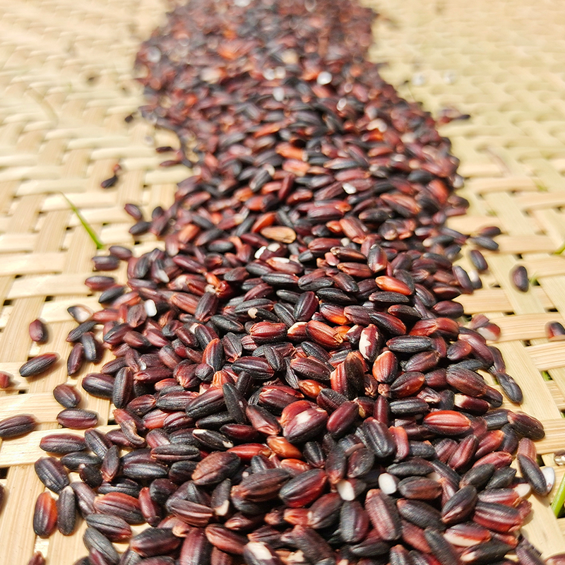 【九万黑美人】大苗山特色农产品紫黑香糯