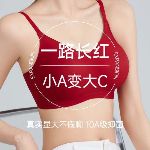 外扩内衣女聚拢小胸显大防下垂