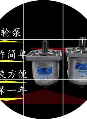 现货液压齿轮油泵BFPR-F580F563F525 F532 F540 F550   F520-BFHL