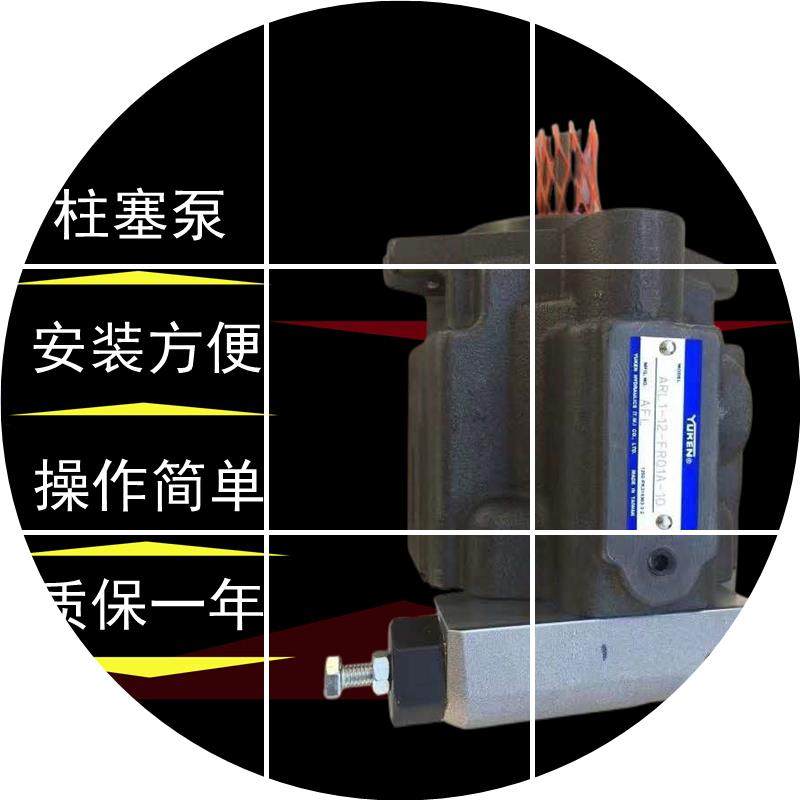 现货16油研油泵12-//8/ARL1/1010-FR01A6S--R01SARL1-6-F-/日本柱