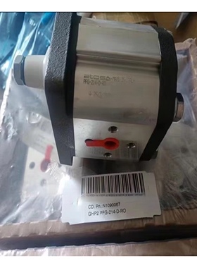 意大利齿轮泵GHP2BK1-S-6 10 12 13 16 20 22 30