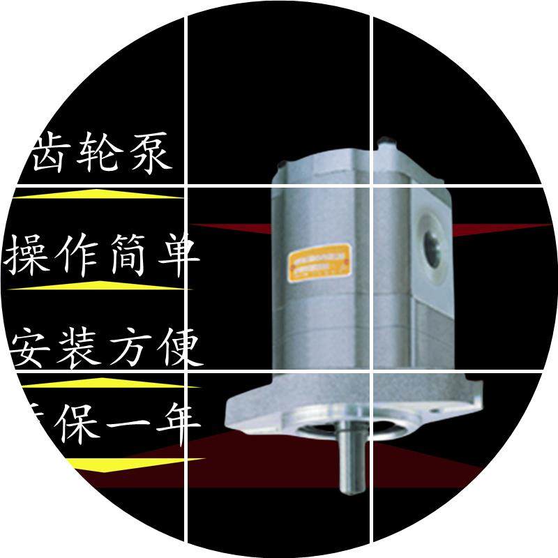 现货合肥-液压齿轮马达 CMFDA长源ALPS-E306 CMFDAE308--ALPS 系