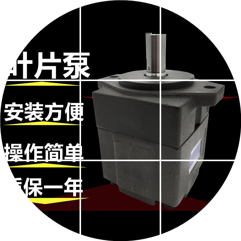 现货 永灵YLC液压泵PV2R2-26 仙居 41 593353 47 65 70 75 85F1叶