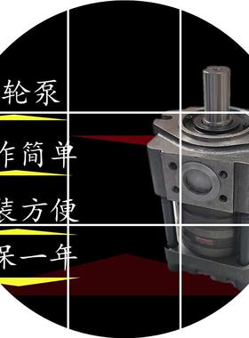 现货NT2上海航  NBZ2-G16F 12 10 NBZ3-G32发25齿轮泵20F NBZ4-G6