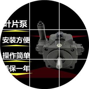 F40D 40D 现货叶片泵 F30D 11A VDC11A 30D20 VDC