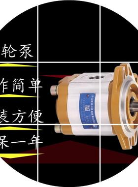 现货合肥长源齿轮泵/-F12.514.5CBTDH/16叉车18/20-ALHR/齿轮泵系