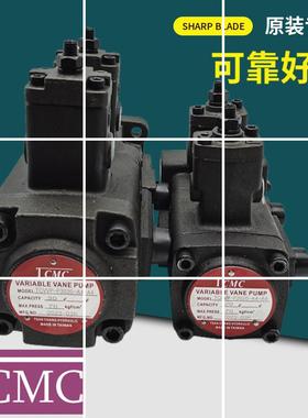 TCVVP-F2020-A4A4双联叶片泵F1515/F3030/F4040-A1 A2 A3