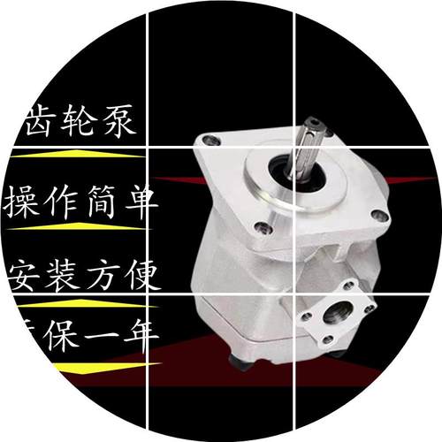 现货HGP-2A-F12R台湾新鸿HYDROMA齿轮泵F2RF11R  F4R F5R F6R F8R